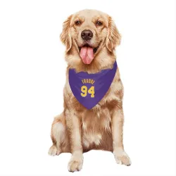 Los Angeles Lakers Armel Traore Purple Pet Bandana for Dog & Cat