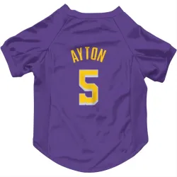 Los Angeles Lakers Deandre Ayton Purple Pet Jersey for Dog & Cat