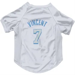 Los Angeles Lakers Gabe Vincent White Pet Jersey for Dog & Cat