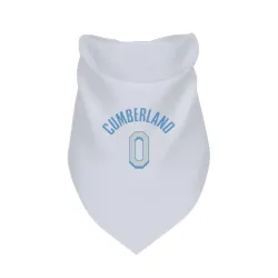 Los Angeles Lakers Jarron Cumberland White Pet Bandana for Dog & Cat