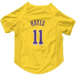 Los Angeles Lakers Jaxson Hayes Yellow Pet Jersey for Dog & Cat