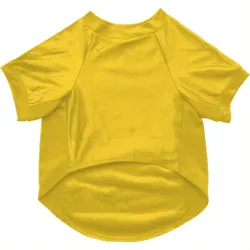 Los Angeles Lakers Jaxson Hayes Yellow Pet Jersey for Dog & Cat