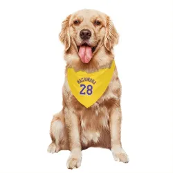 Los Angeles Lakers Rui Hachimura Yellow Pet Bandana for Dog & Cat